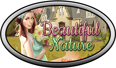 Beautiful Nature